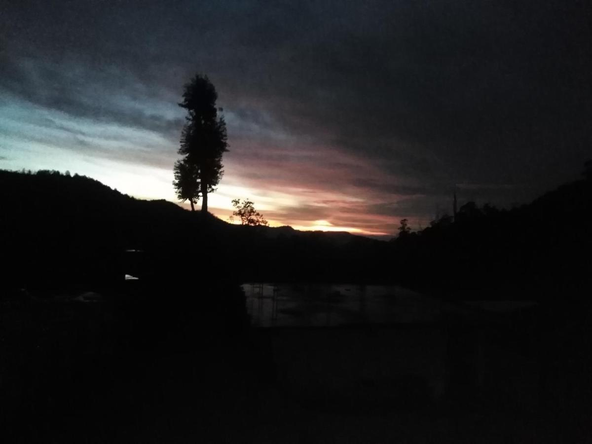 Forest Cyniciam Homestay Ohiya Eksteriør billede
