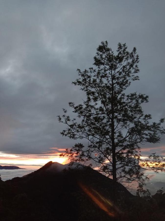 Forest Cyniciam Homestay Ohiya Eksteriør billede