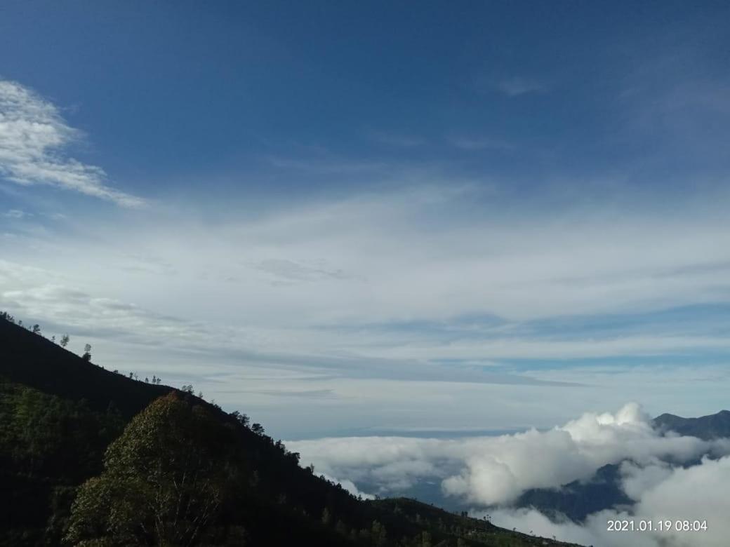 Forest Cyniciam Homestay Ohiya Eksteriør billede