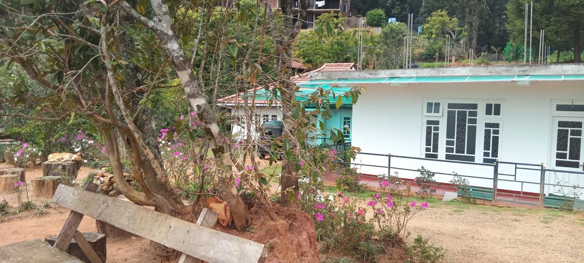 Forest Cyniciam Homestay Ohiya Eksteriør billede