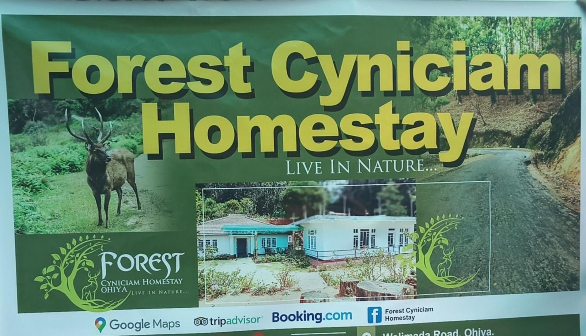 Forest Cyniciam Homestay Ohiya Eksteriør billede