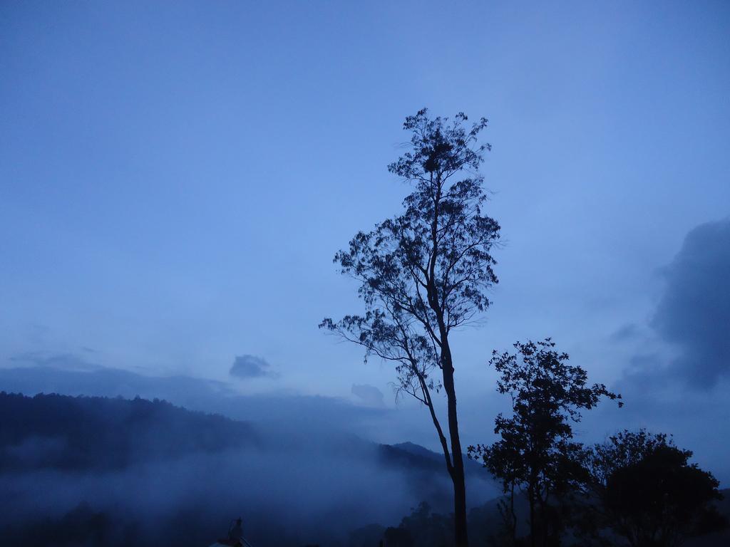 Forest Cyniciam Homestay Ohiya Eksteriør billede