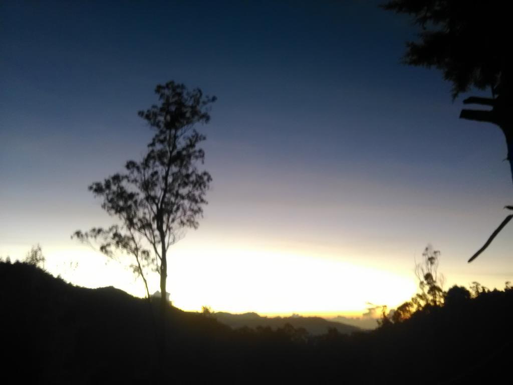 Forest Cyniciam Homestay Ohiya Eksteriør billede