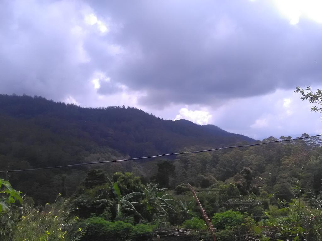 Forest Cyniciam Homestay Ohiya Eksteriør billede