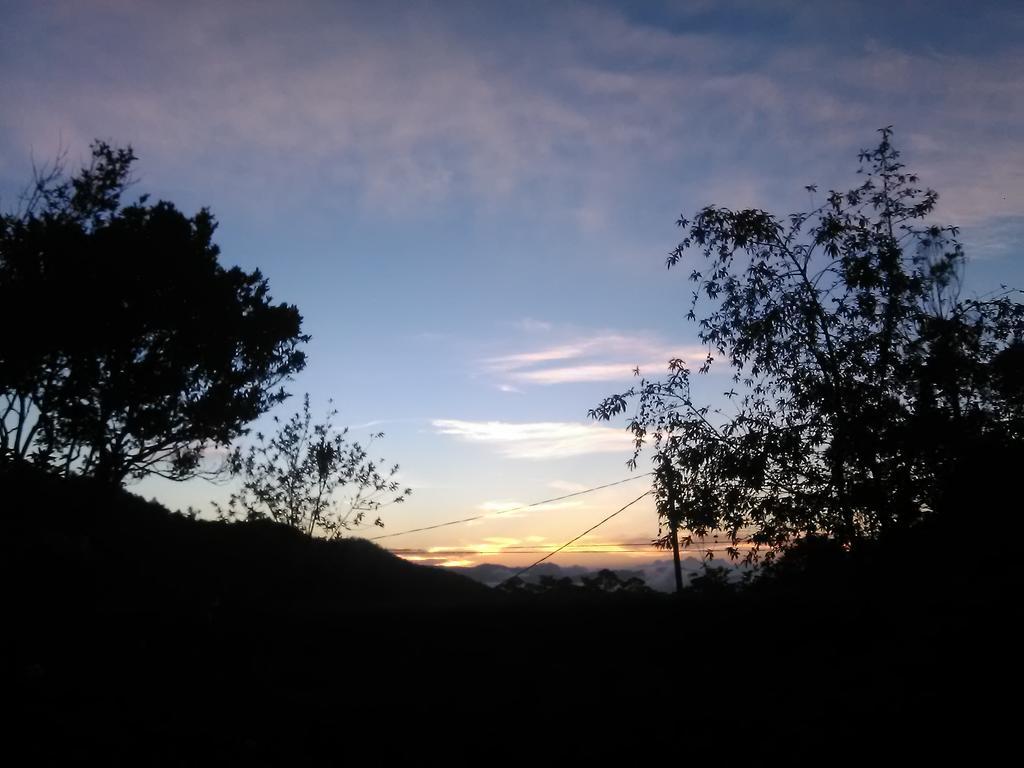 Forest Cyniciam Homestay Ohiya Eksteriør billede