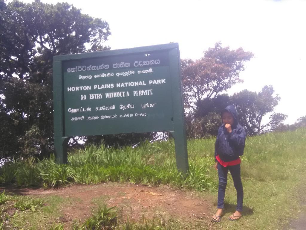 Forest Cyniciam Homestay Ohiya Eksteriør billede