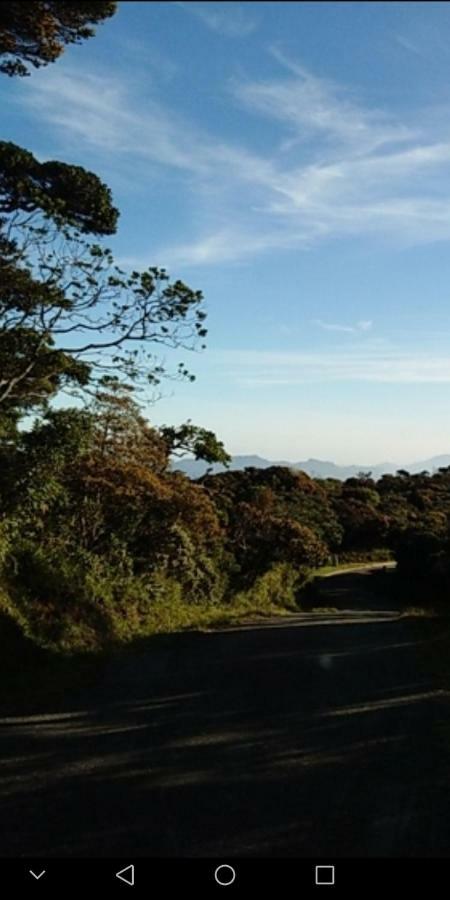 Forest Cyniciam Homestay Ohiya Eksteriør billede
