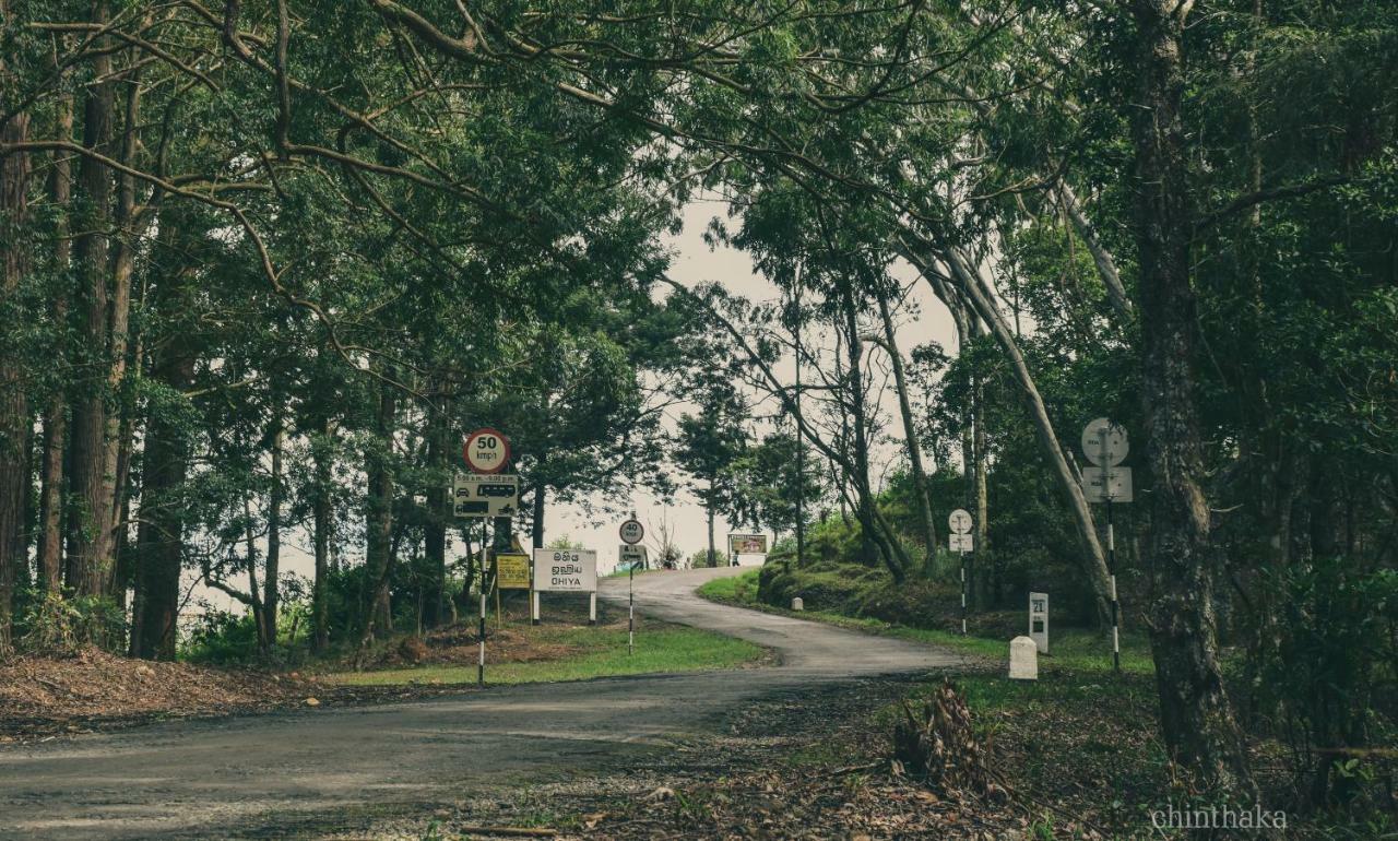 Forest Cyniciam Homestay Ohiya Eksteriør billede