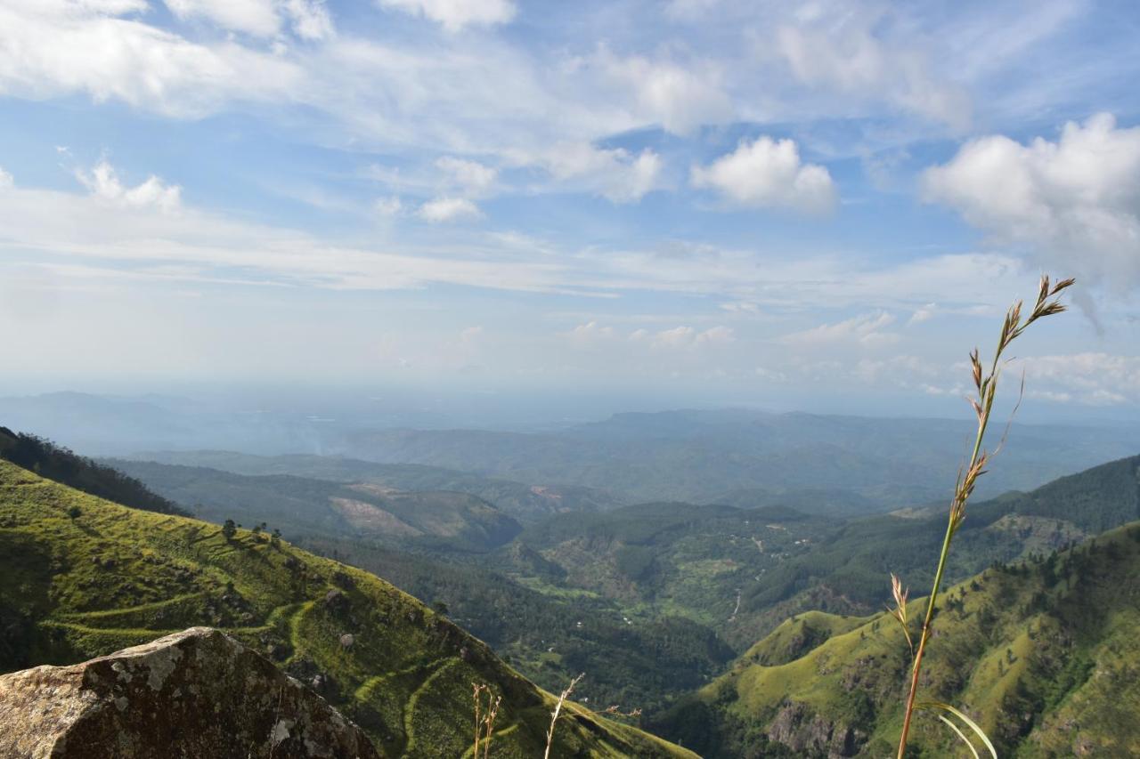 Forest Cyniciam Homestay Ohiya Eksteriør billede